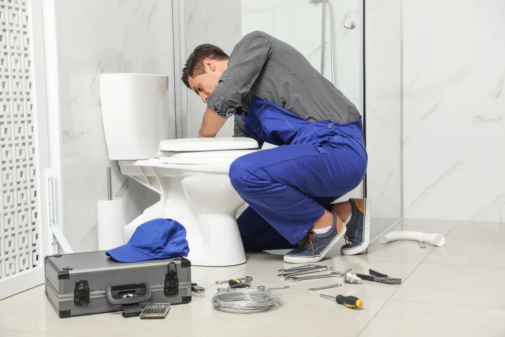 Toilet Installation in Westminster